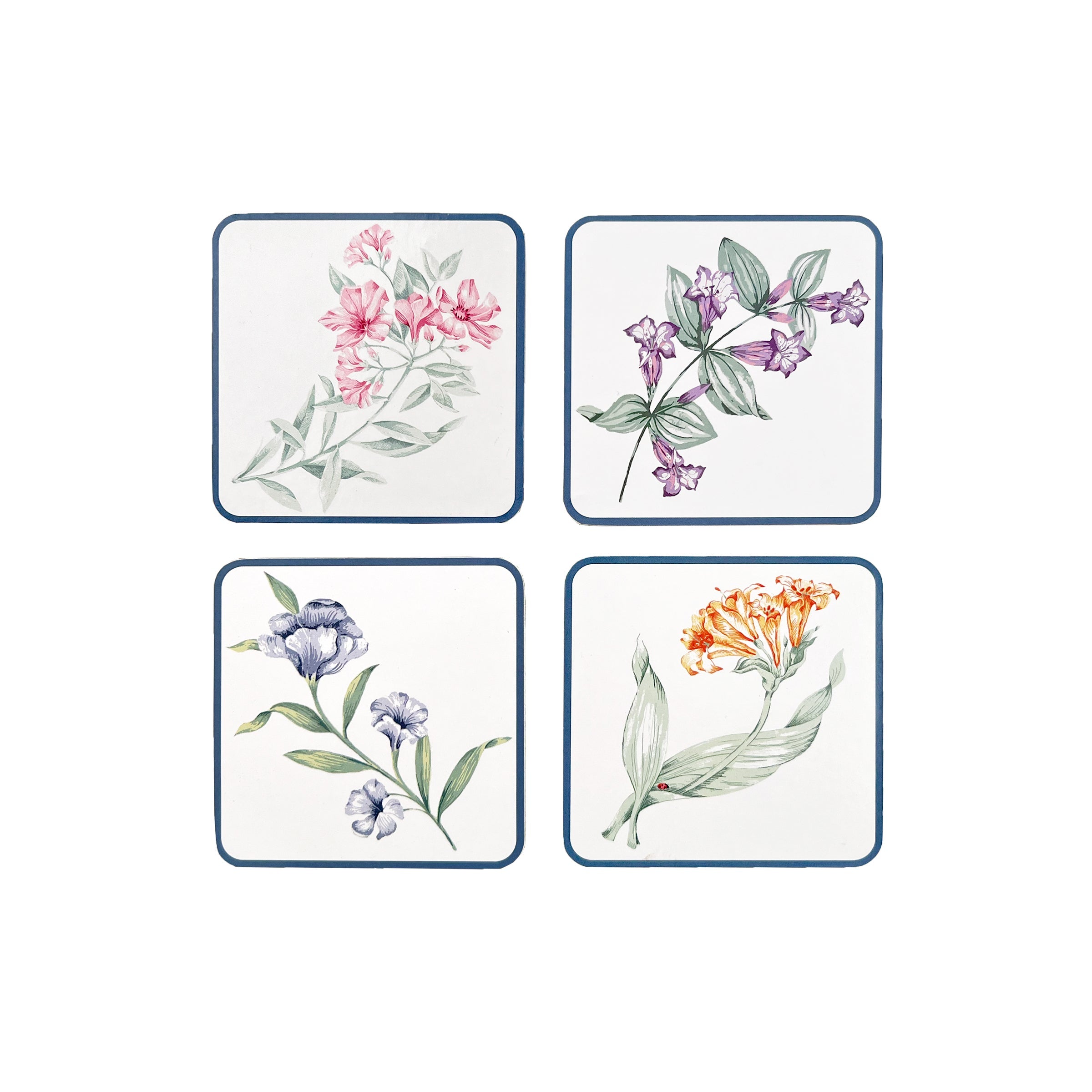Butterfly Meadow Corkback Coasters - Set Of 4