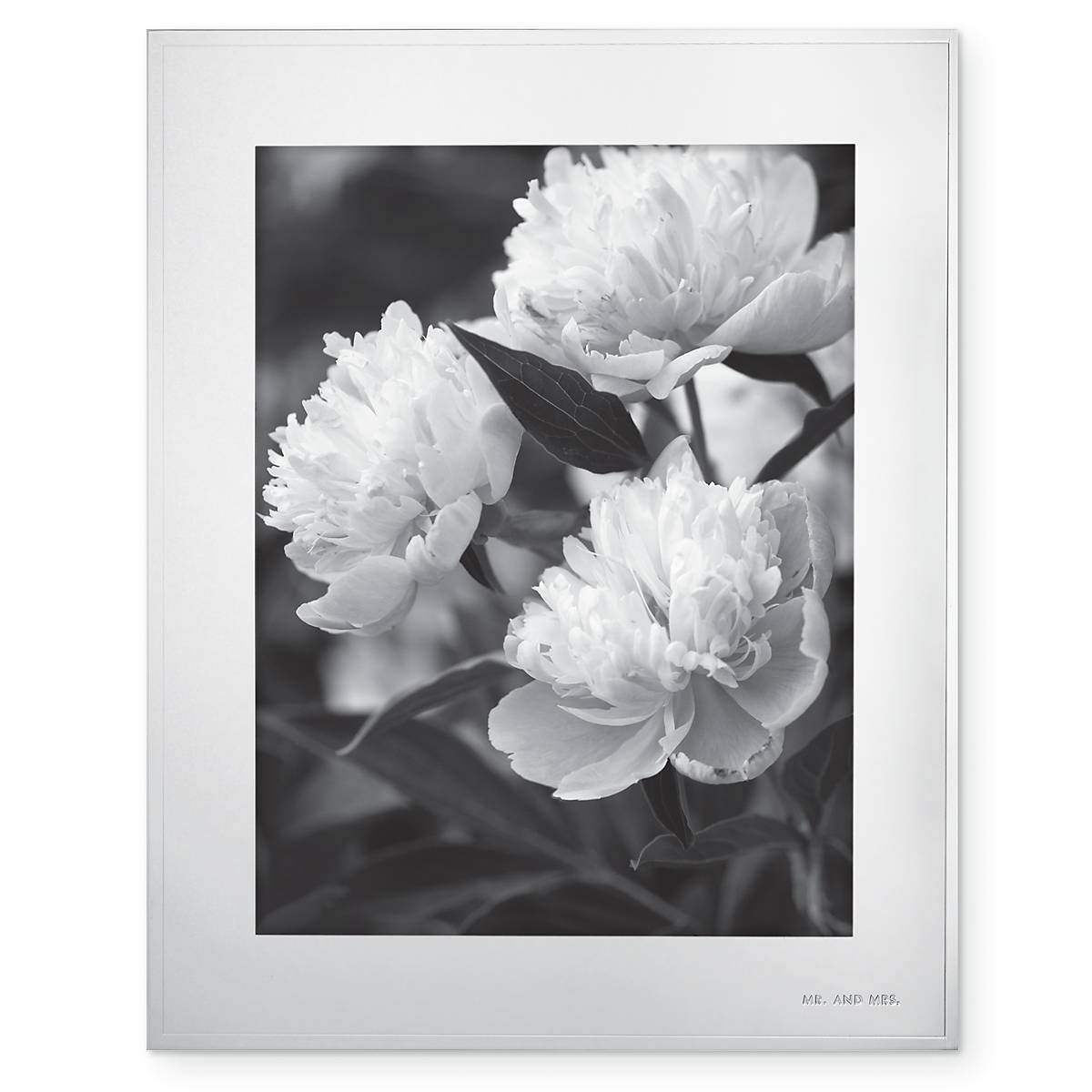 Darling Point 8 x 10 Frame