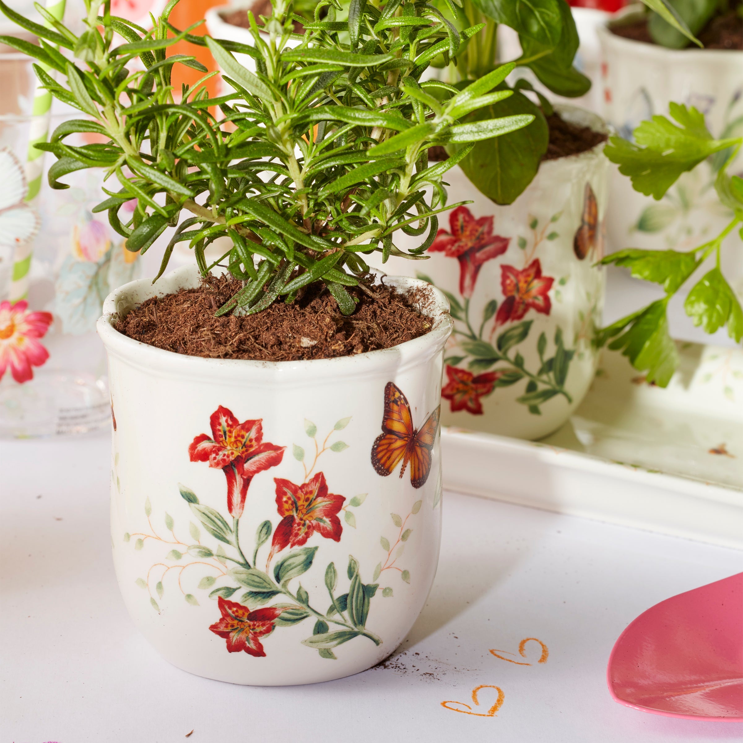Butterfly Meadow 3-Piece Herb Pots & Tray Set - Image 8