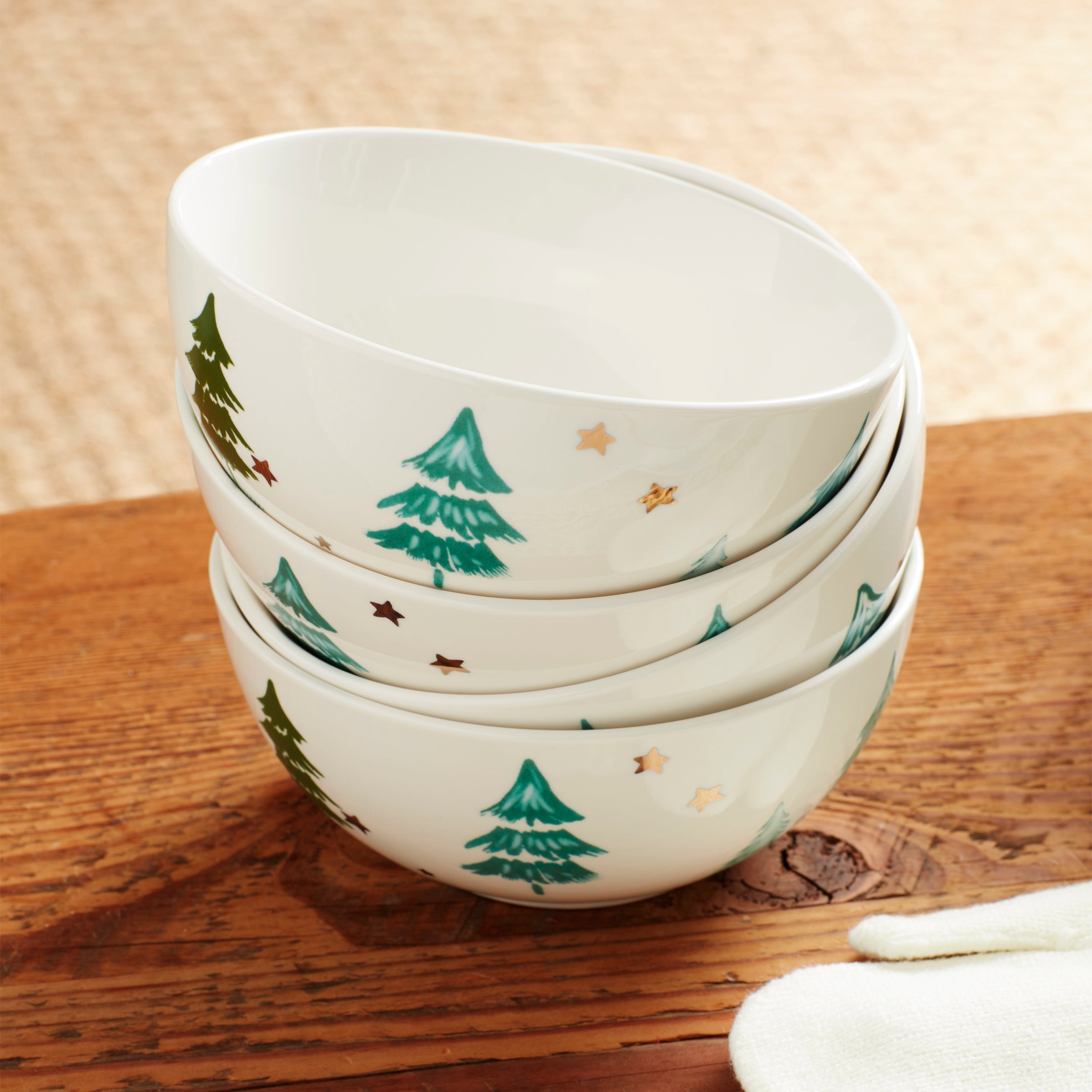 Balsam Lane 12-Piece Dinnerware Set - Image 6