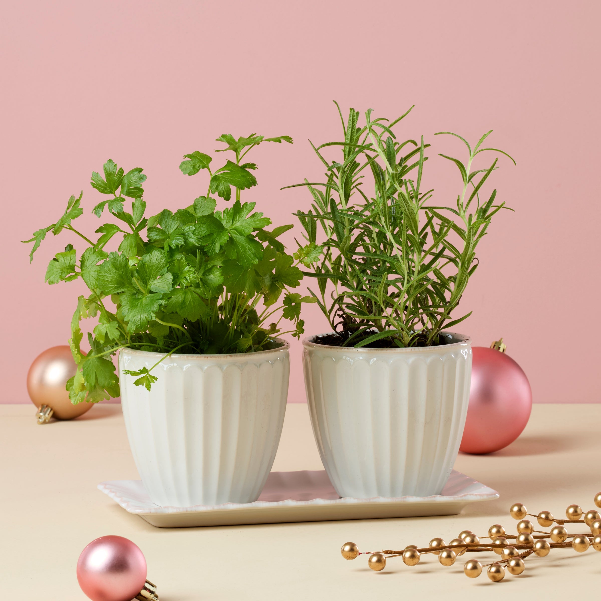 French Perle Scallop 3-Piece Herb Pot Set - Image 4
