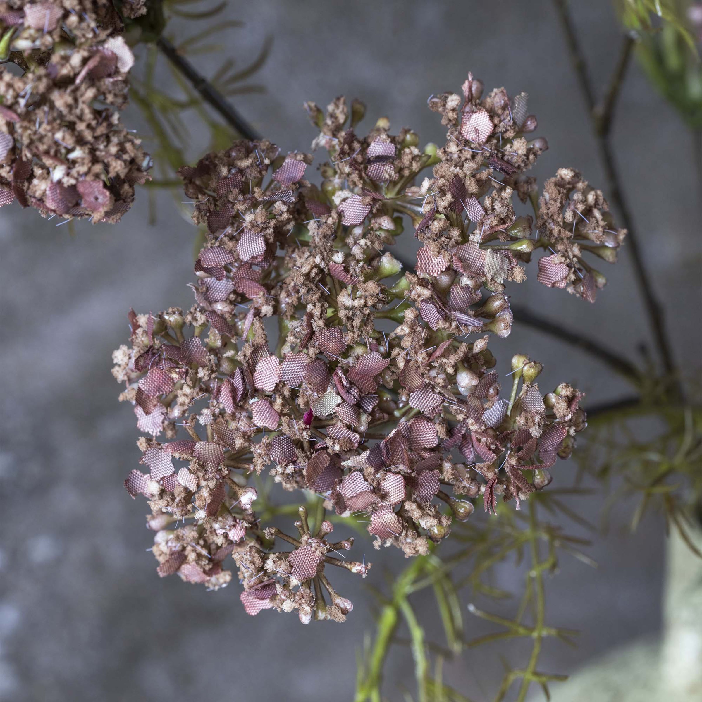 Artificial Dill Flower Stem - Image 3