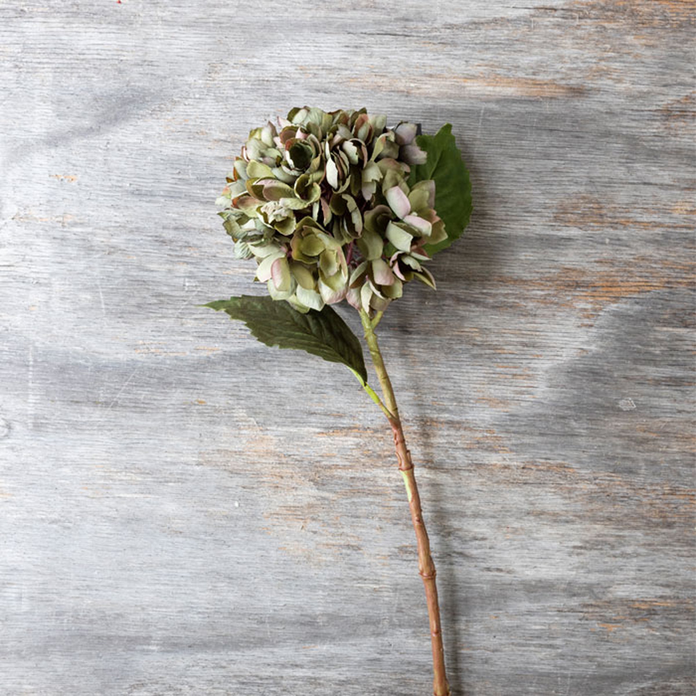 Artificial Hydrangea Stem. Chloris - Image 2