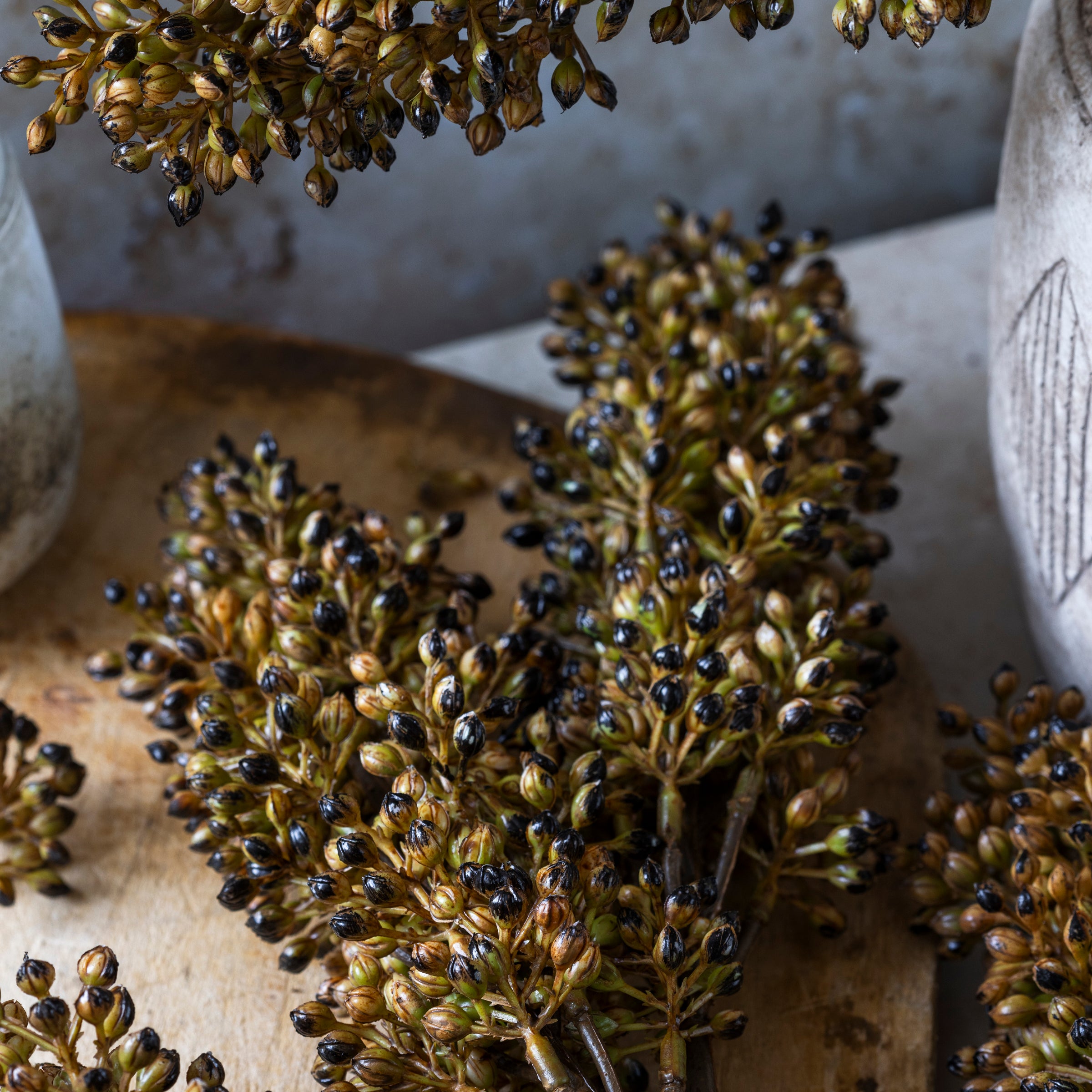 Artificial Sorghum Stem. Umber - Image 3